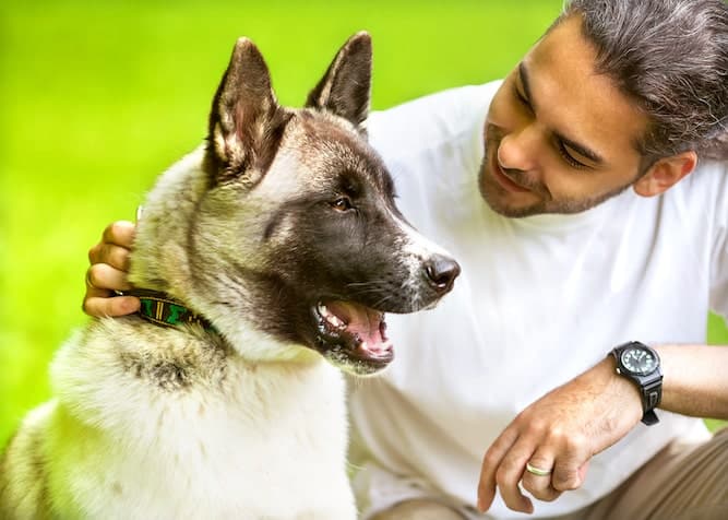 Photo of Man With Akita 