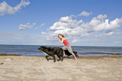 Woman with Dogs Exercing on Beach