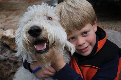 Boy with Labradoodle Poodle Mix Dog