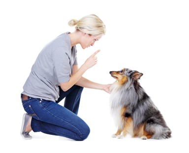 Woman With Dog Telling him to sit