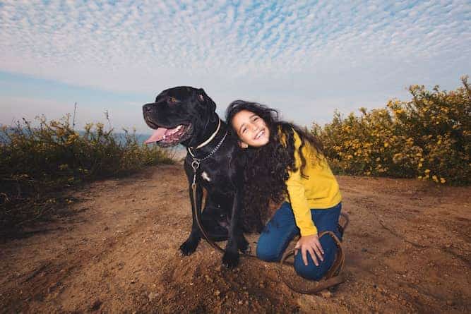 Photo of Cane Corso With Young Girl | Cane Corso Temperament