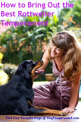 Rottweiler With Woman, Happy Temperament