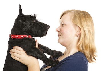Scottish Terrier temperament . Scotty and Girl