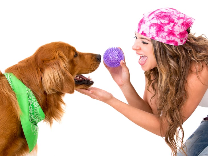 Photo of Pretty Woman and Golden Retriever Playing with Ball