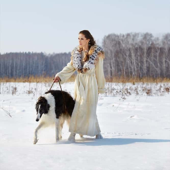 Photo of Woman with her Black and White Borzoi walking in snow