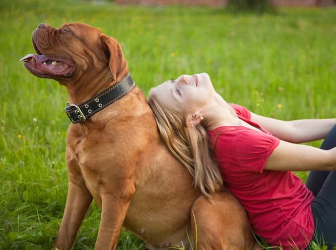 Photo of Girl and her Dogue De Bordeaux Sitting back to back in park |Affectionate Temperament