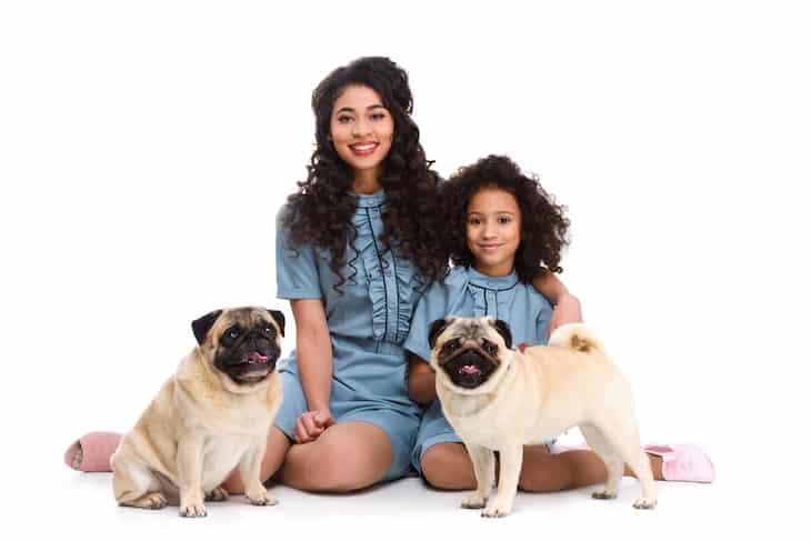 Photo of two Pugs with Woman and Daughter