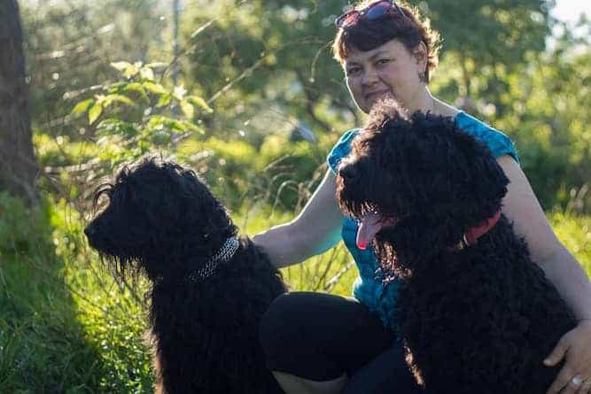 Photo of Woman with 2 Black Russian Terriers