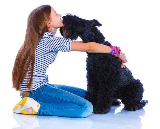 Photo of Kerry Blue Terrier and young girl | Dog Temperament