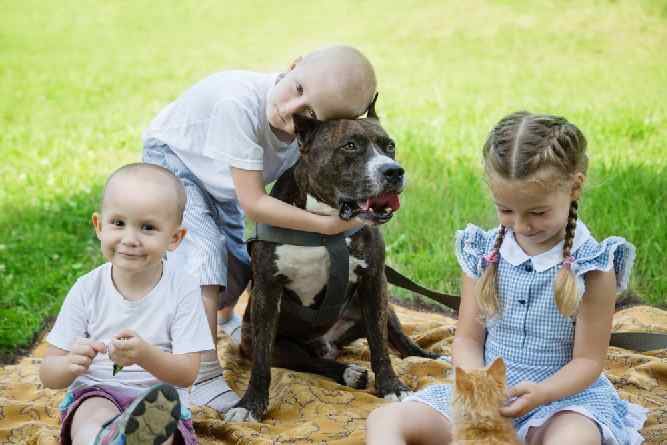 Photo of American Staffordshire  With Kids