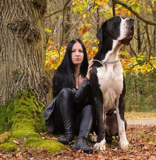 Photo of Great Dane  With Woman Min