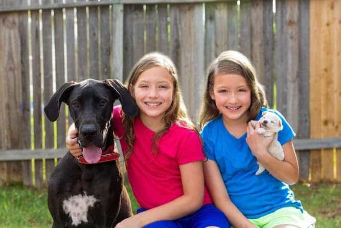 Photo of Great Dane  With Girls Min