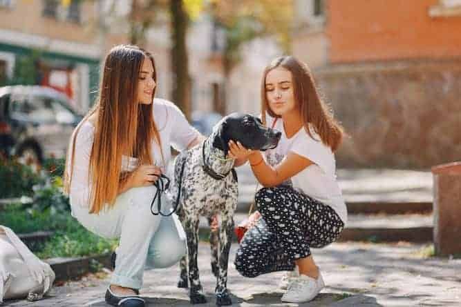 Photo of Dalmatian With Girls