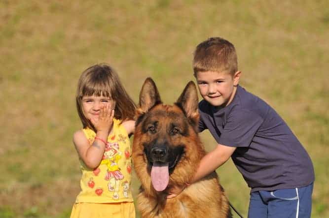 Photo of German Shepherd  With Kids