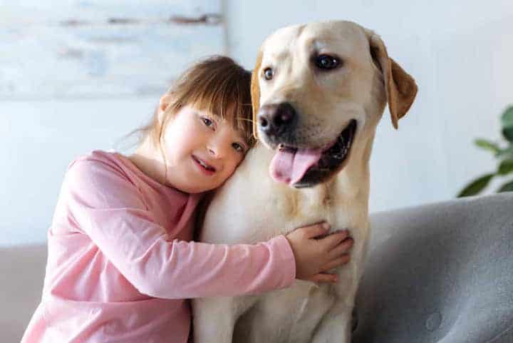 Photo of Labrador Retriever With Girl
