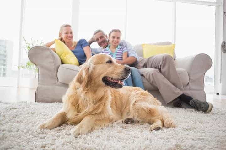 Photo of Happy Family On Sofa Watching Golden Retriever Min
