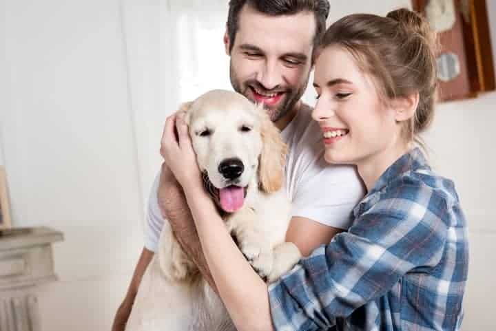 Photo of Man Woman Petting Dog At Home