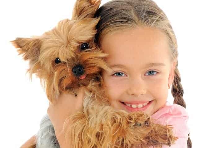 Photo of Yorkie With Little Girl Min