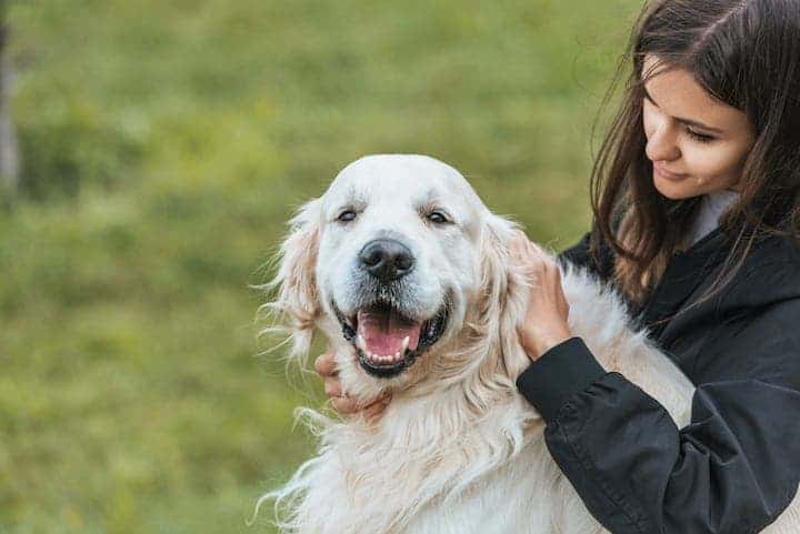 Photo of Young Woman Petting Golden Retriever Outdoors Min