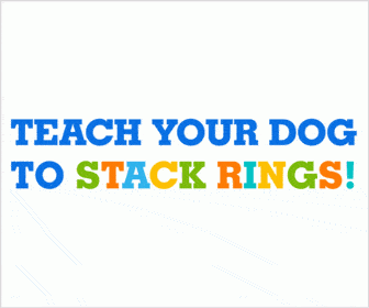 Teach Ring Stackers 336 x 280 - Animated