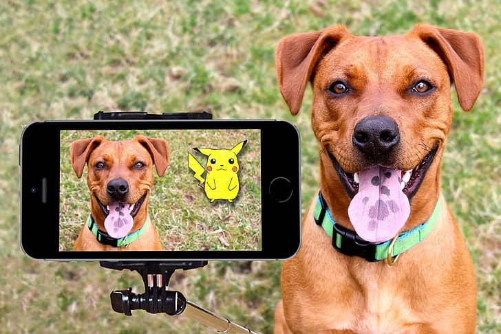 Photo of Pokemon Pikachu Dog Selfie Preview