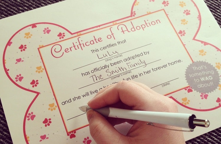 Photo of Adoption Certificate