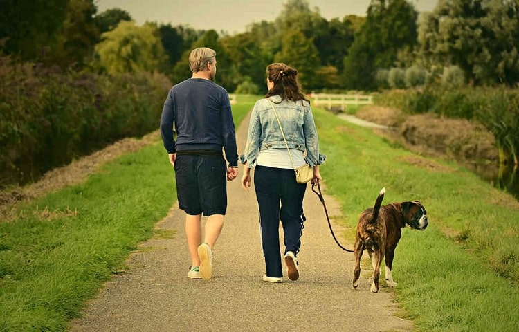 Photo of Young Couple Walks With Their Dog