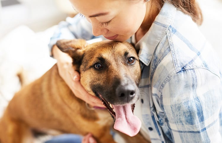 Photo of Young Woman Calming Dog