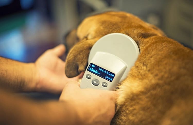 Photo of Dog Microchip Scanner