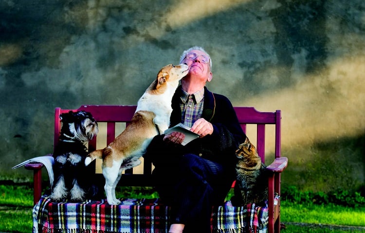Photo of Senior Citizen With Dog