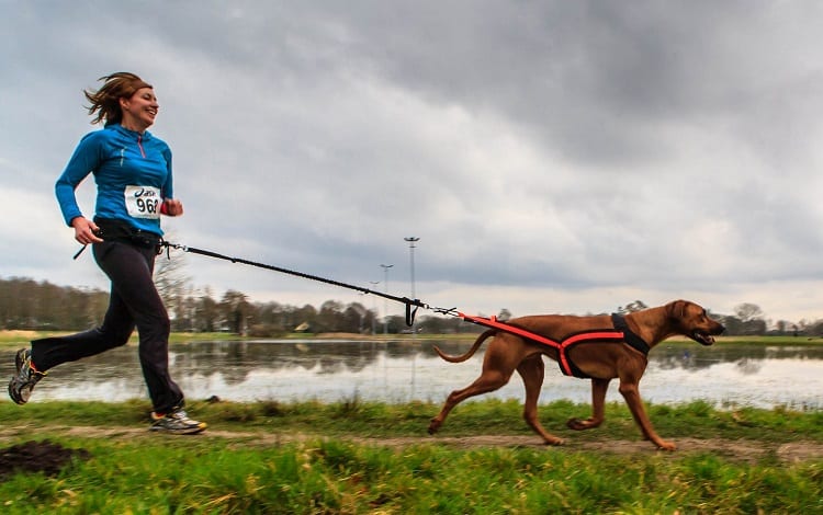 Photo of woman jogging with Walking Harness