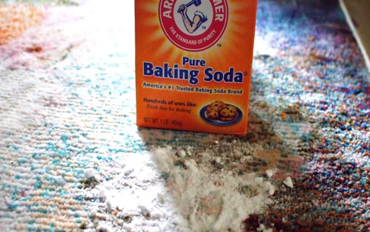 Photo of Dog Bed Cleaning With Baking Soda