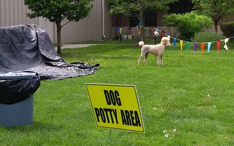 Photo of Dog Poop Area