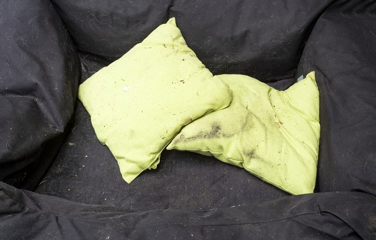 Photo of Dirty Dog Bed