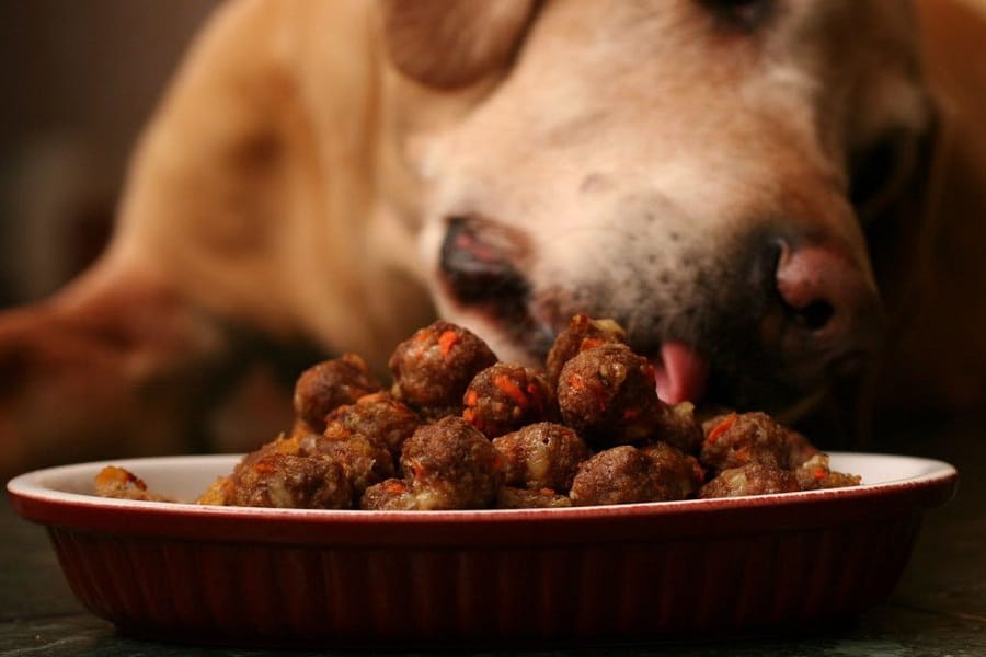 How Many Satin Balls Can I Feed My Dog?