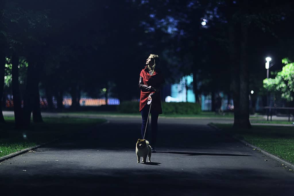 Young woman walking her dog at night
