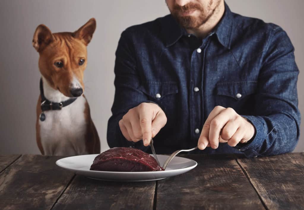 Man cutting a steak for his dog