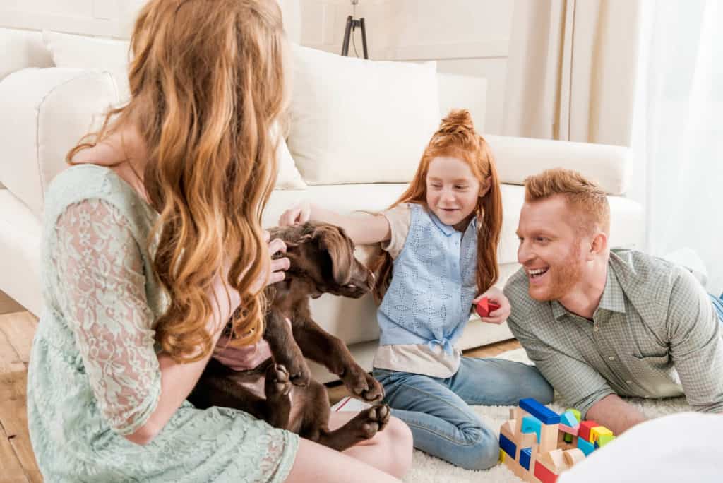 Family playing with their puppy