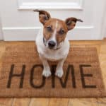 Dog standing on brown welcome home mat