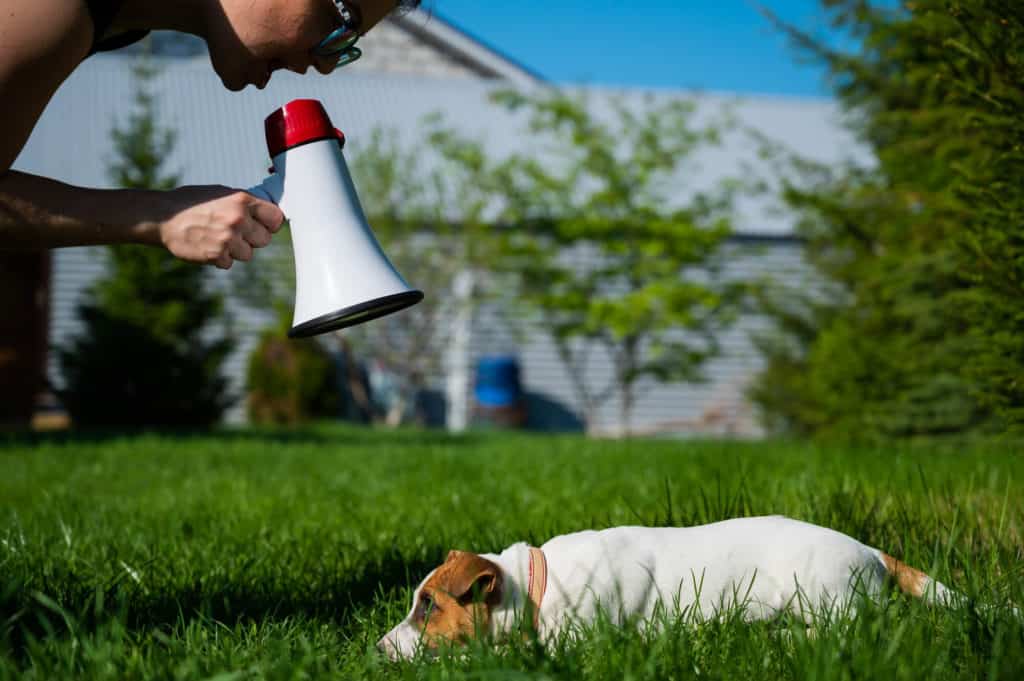 Woman yelling at lying puppy through megaphone