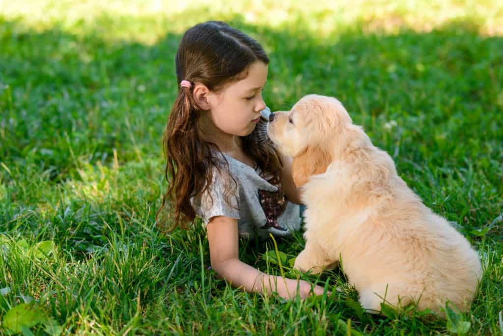 Photo of Looking At Puppy