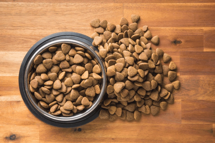 Photo of Dry Food For Dogs
