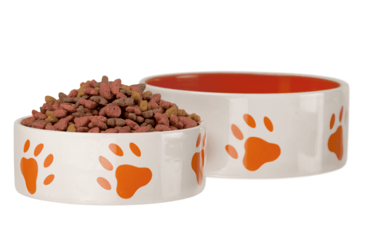 Dog Food In A Bowl