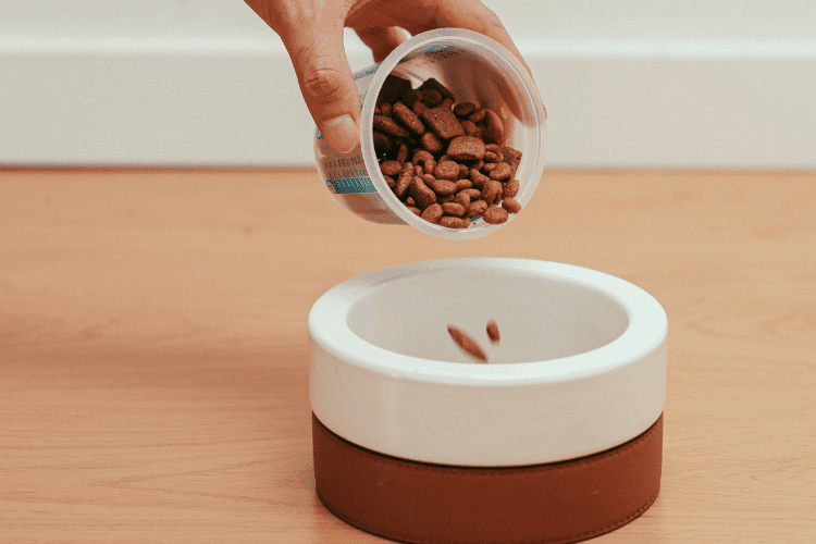 Photo of Spilling Dog Food Into Bowl